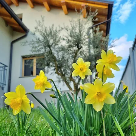 Origini Holidays Guest house *