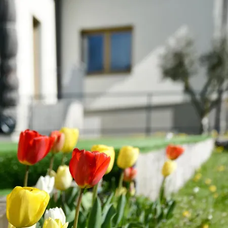 Origini Holidays Guest house