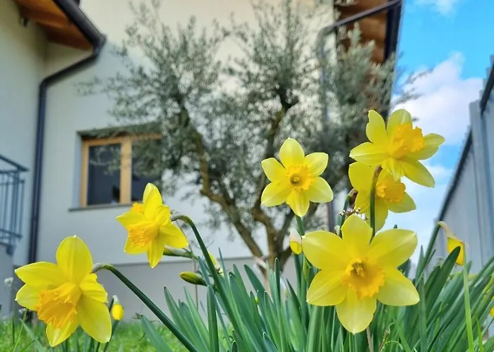 Origini Holidays Πανσιόν 4*