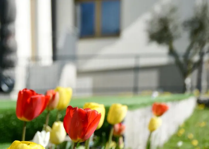 Origini Holidays Πανσιόν